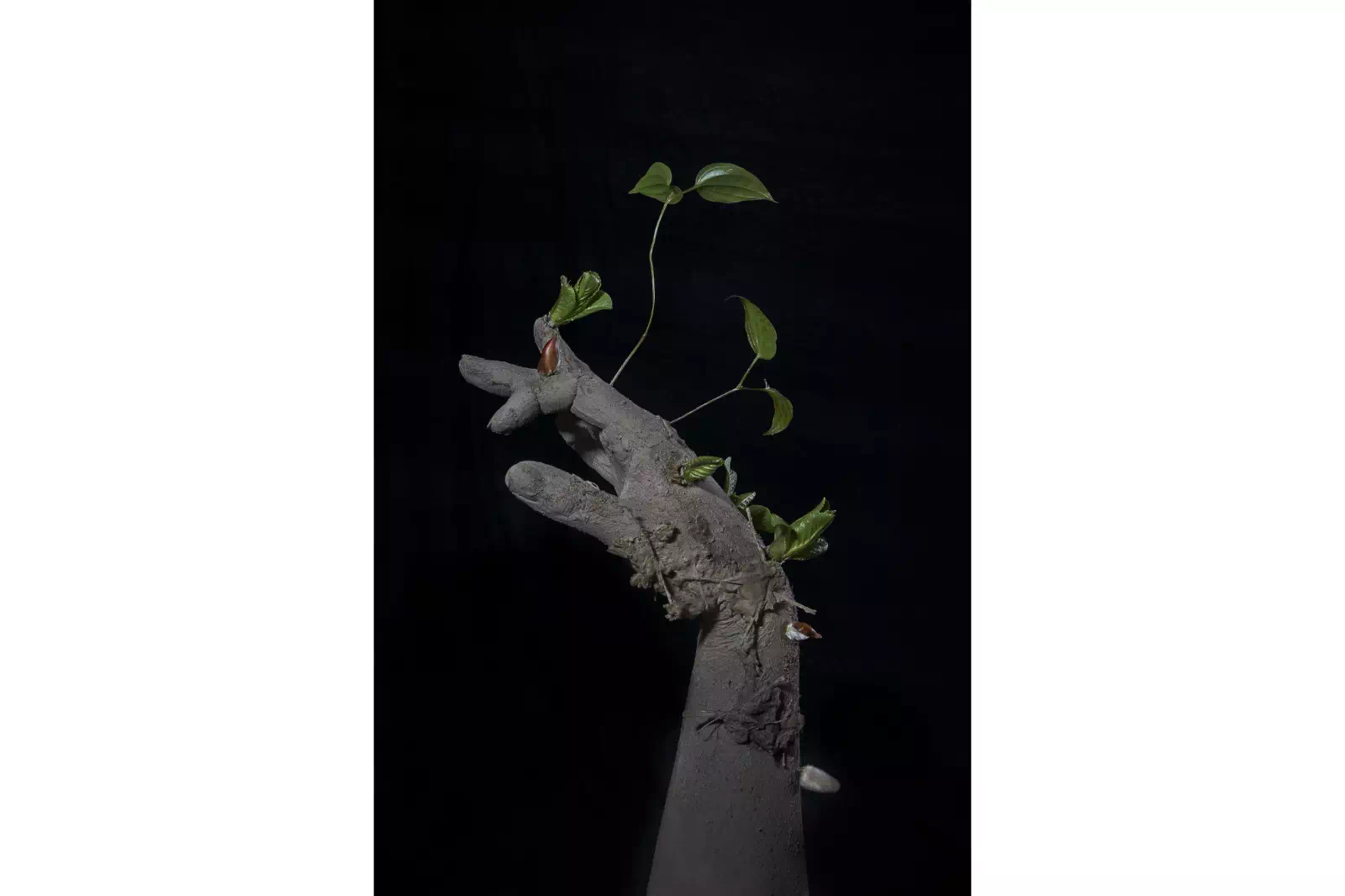 片桐功敦